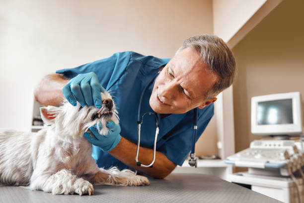 Best Emergency Tooth Extraction  in Turley, OK