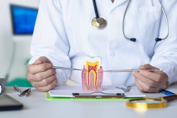 Best Chipped Tooth Repair Near Me  in Turley, OK